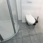 Apartamento Ferienwohnung Dunenrose 3 *